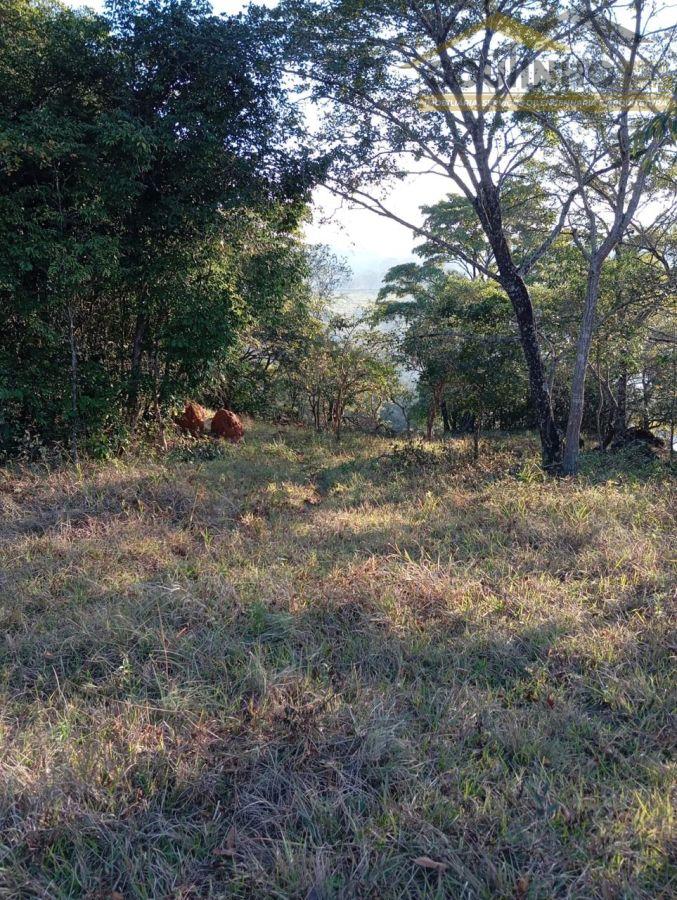 WhatsApp Image 2025-12-15 at 14.06.58.jpeg